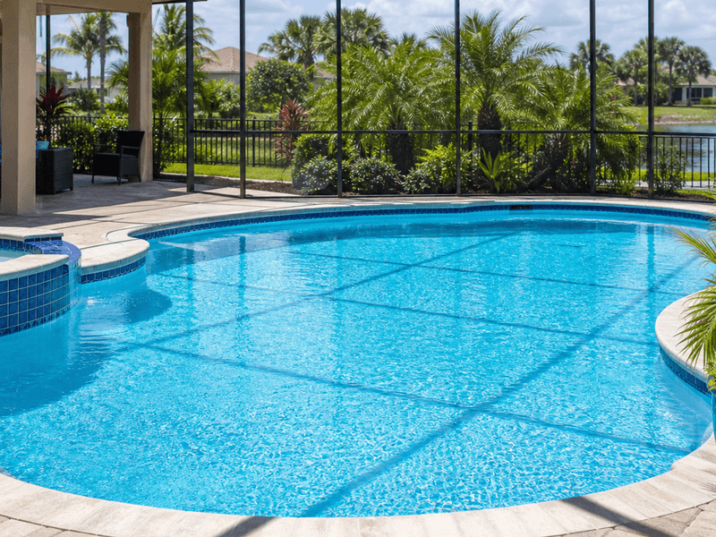 crystal clear pool water in Carrollwood